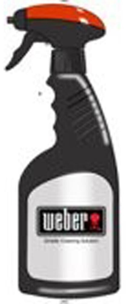 Weber cleaner best sale