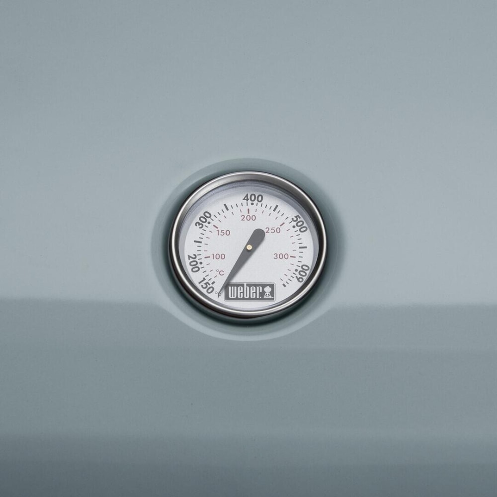 er 92400901 26 Inch Lumin Portable Electric Grill with 242 Sq. In