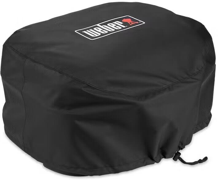 Weber Lumin Compact Portable Electric Grill in Black 91010901 - The Home Depot