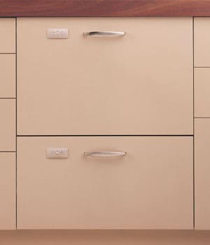 Fisher Paykel DD603IH 24 Inch Double DishDrawer with 5 Automatic