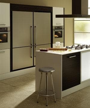 Fisher & Paykel E522BRXFD 17.3 cu. ft. Bottom-Freezer