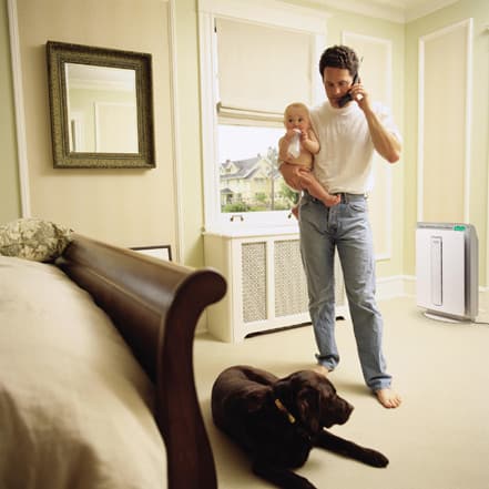 Sharp FPN40CX 176 CFM Air Purifier with Plasmacluster, True HEPA