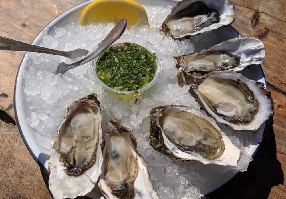 Perlick H80CIMSR 15 Inch BuiltIn Undercounter Nugget Ice Maker with 3.40 Cu. Ft. Capacity, 80