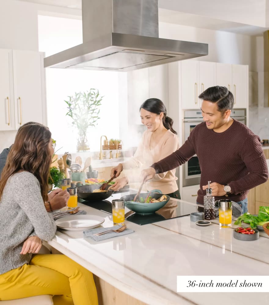 42 inch sale island range hood