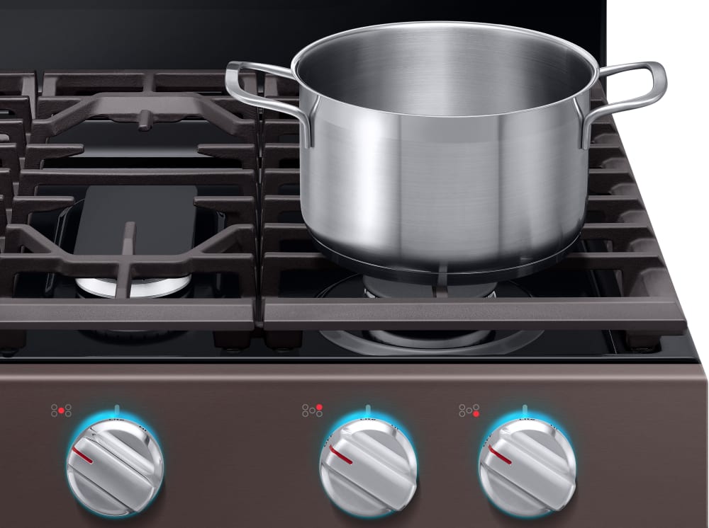 Samsung NX58R6631ST 30 Inch Freestanding Gas Range with True Convection Flexible Cooktop Self Clean 5.8 cu. ft. Oven Capacity Touch Controls Blue LED Knobs Wide View Window Storage Drawer and Sabbath ...
