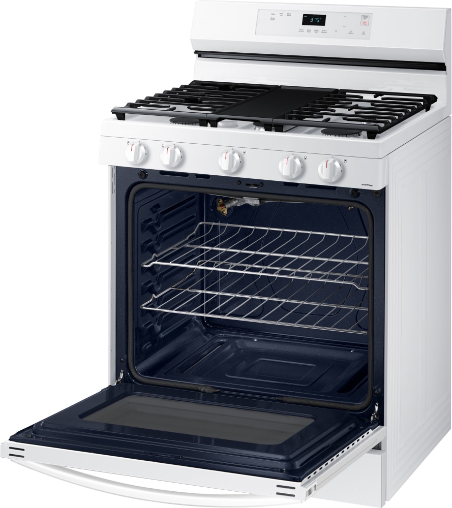 Samsung NX60A6111SS 6.0 Cu. ft. Smart Freestanding GAS Range with Integrated Griddle in Stainless Steel