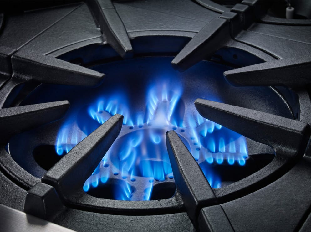 Bluestar Stove Service Manual