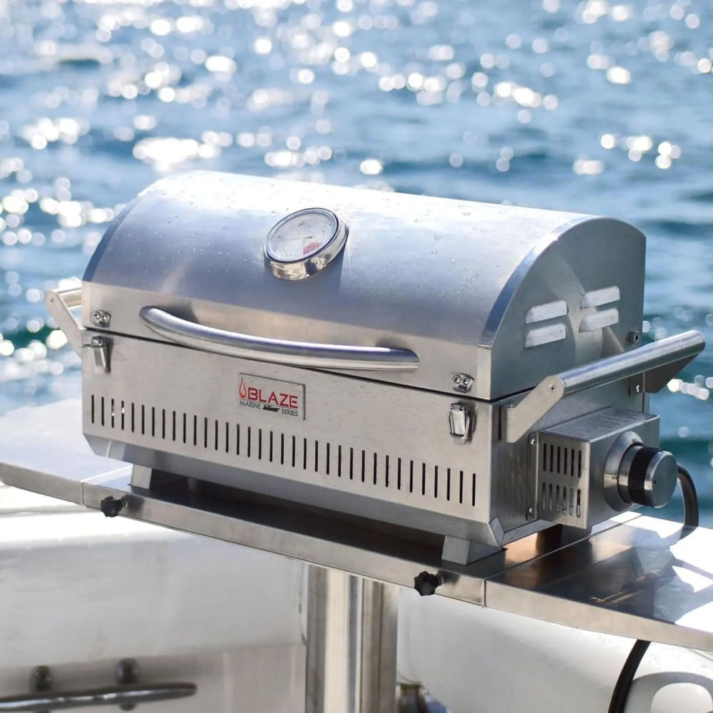 Marine propane grill online