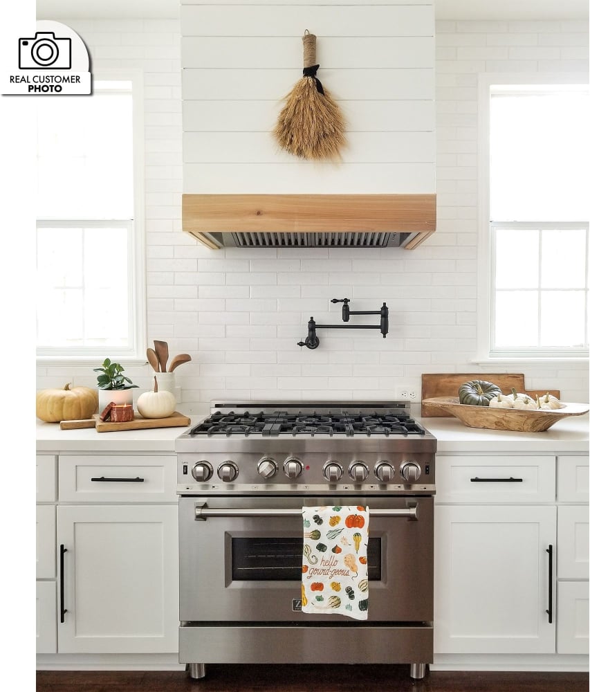 ZLINE 72130446 Outdoor Range Hood Insert with 4-Speed 700 CFM  