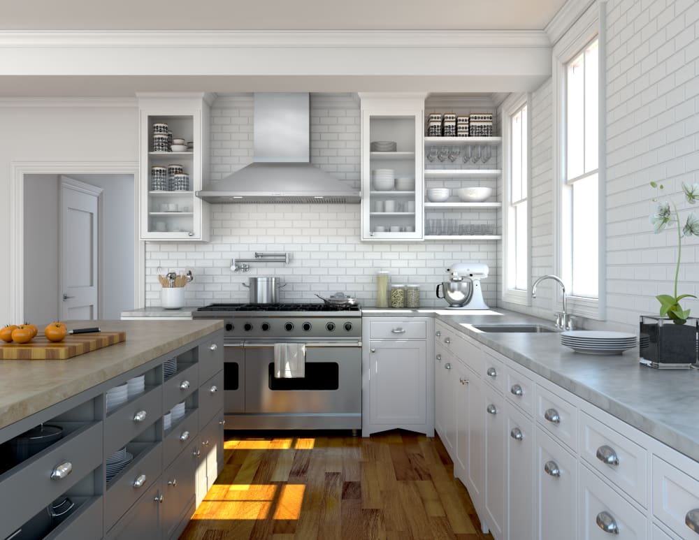 Zephyr ZSPE48BS Siena Pro 48 Inch Wall Mount Range Hood with 5Speed