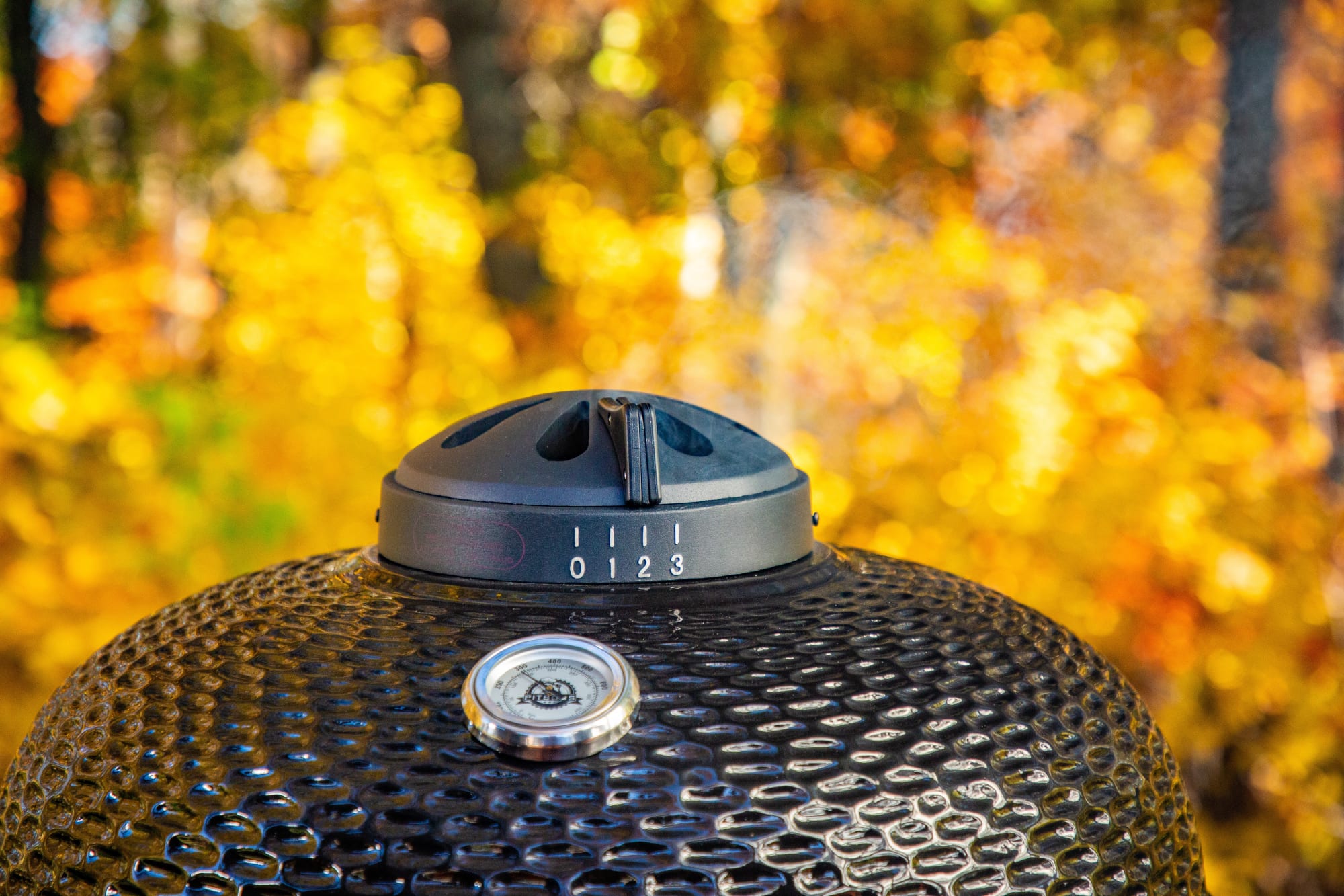 Pit Boss 71220 52 Inch Portable Ceramic Charcoal Grill with 573 sq.in