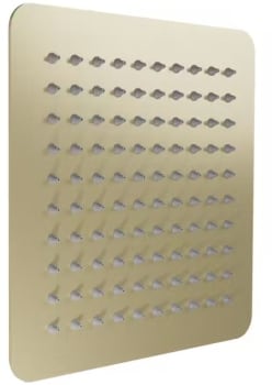 ZLINE BLSH8PG - 8 Inch Bliss Shower Head