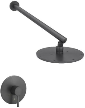 ZLINE El Dorado ELDSHFGM - Rainfall Shower Faucet