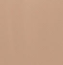True Residential 179CHAMPAGNE - Champagne Color Swatch