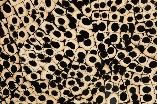 JennAir ELEMENTS - JennAir X Nature Squared JBREBLACK30 - 30 Inch Wide Panel in Eggshell Snakeskin Black