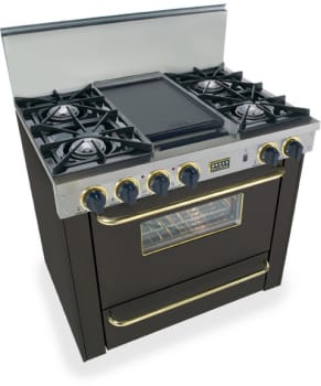 FiveStar TPN3107SW - Black with Brass Trim