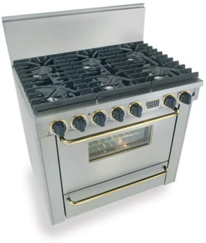 FiveStar TPN3117BSW - Stainless Steel with Brass Trim
