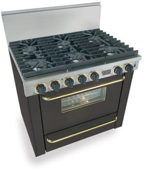 FiveStar TPN3117SW - Black with Brass Trim