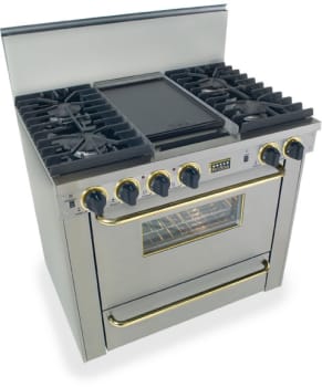 FiveStar TPN3317BSW - Stainless Steel with Brass Trim
