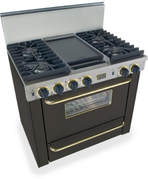 FiveStar TPN3317SW - Black with Brass Trim
