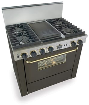 FiveStar TPN3377SW - Black with Brass Trim