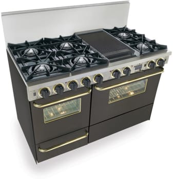 FiveStar TPN5257SW - Black with Brass Trim