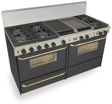 FiveStar TTN6377SW - Black with Brass Trim