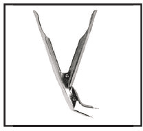 Coyote ASADOGG - Grate Grippers