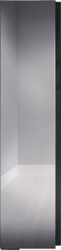 Samsung DF60A8500CG - 18 Inch Smart AirDresser