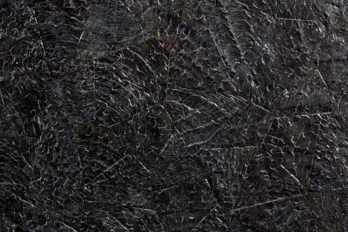 JennAir ELEMENTS - JennAir X Nature Squared JBWDPBLCK24 - 24 Inch Elements Collection Dark Pen Black Custom Wine Column Panel