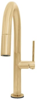 ZLINE VLTKFPG - Voltaire Pull Down Kitchen Faucet with 2.2 GPM Flow Rate