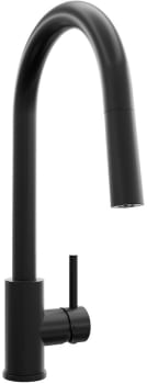 ZLINE RBCN1KFMB - ZLINE Palisades Pull Down Single Handle Kitchen Faucet in Matte Black (RBCN1-KF-MB)