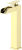 Polished Gold