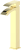 Polished Gold