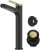Spot-Free Brushed Brass / Matte Black