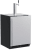 Solid Stainless Steel (Single Beer & Beverage Tap)
