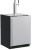 Solid Stainless Steel (Twin Beer & Beverage Tap)