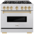 Satin Stainless Steel with Polished Gold Accents