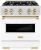White Matte Door and Polished Gold Accents