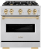 Satin Stainless Steel with Polished Gold Accents