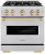 Stainless Steel with Polished Gold Accents