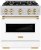 White Matte Door and Polished Gold Accents