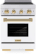 Satin Stainless Steel with White Matte Door and Polished Gold Accents