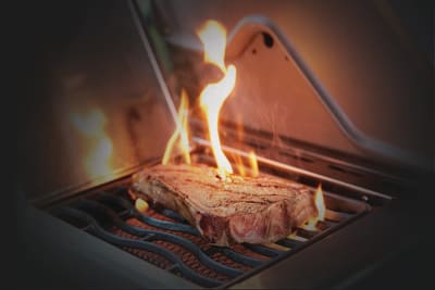 Napoleon P665RSIBNSS 75 Inch Freestanding Grill with Sizzle Zone