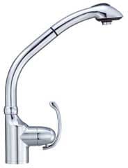 Danze® D456720 Single Handle Kitchen Pull-Out Faucet with 2