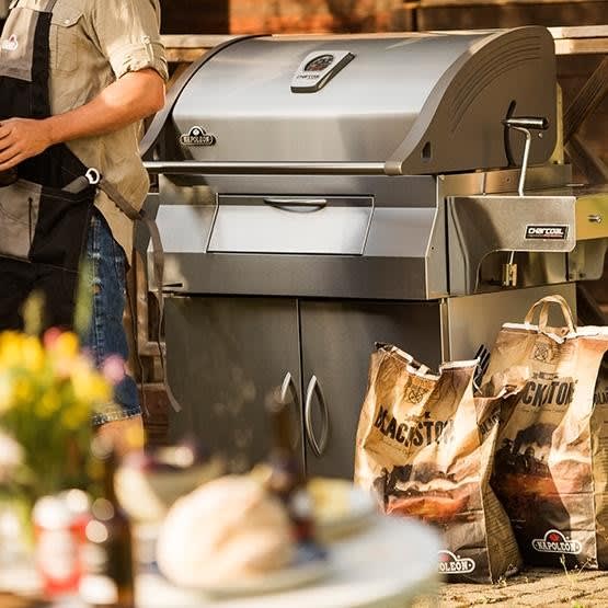 Napoleon charcoal professional outlet