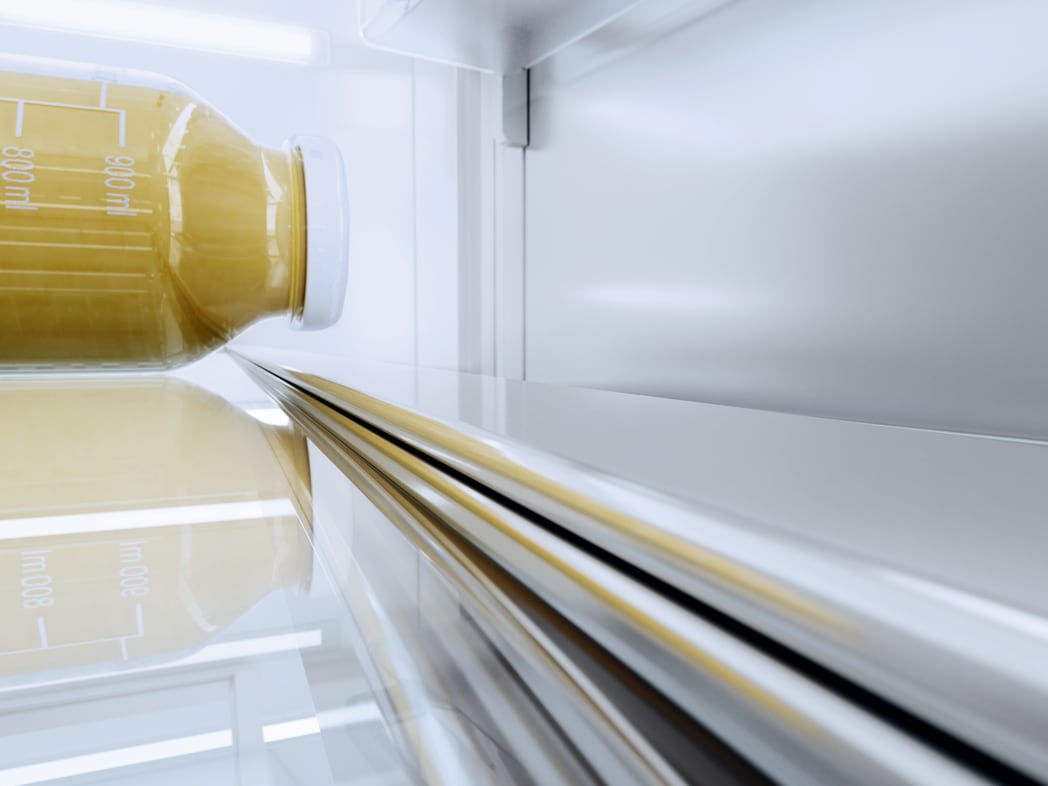 Miele KF2982SF 36 Inch Built In French Door Smart Refrigerator with 19.42 cu. ft. Total Capacity IceMaker DynaCool MasterFresh System Push2Open NoFrost BrilliantLight MasterSensor Active AirClean Filt...