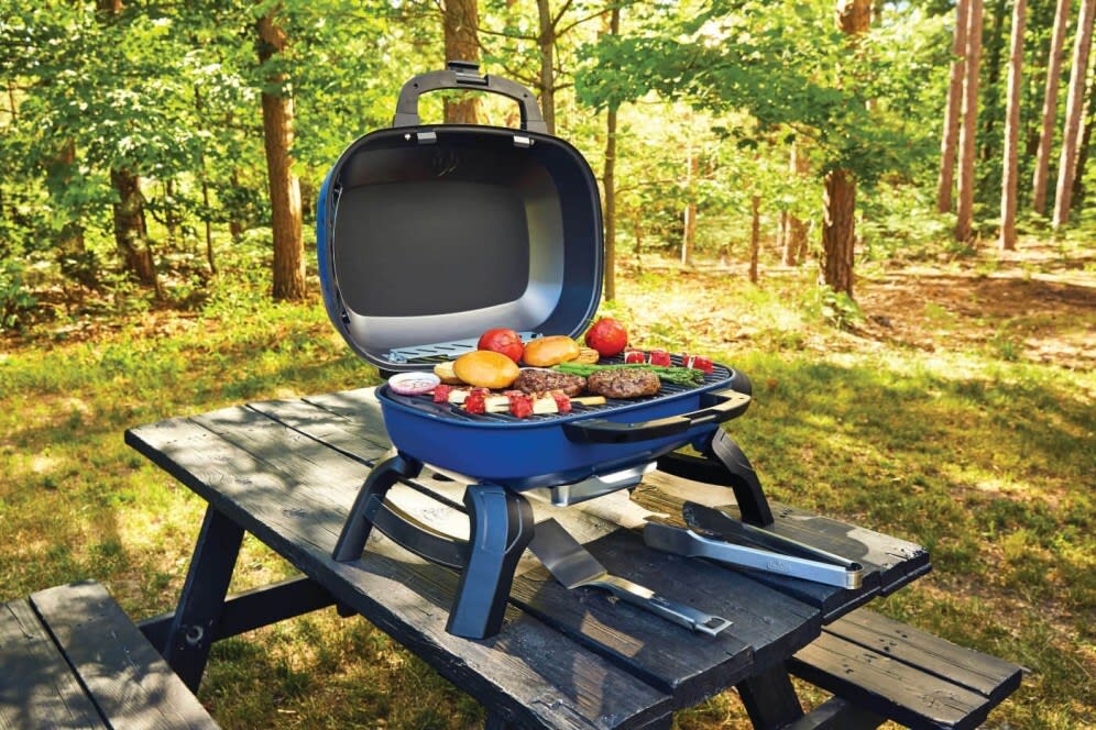 Napoleon TQ240BL 26 Inch TravelQ 240 Portable Gas Grill with 1 Burner 9000 BTU Heat Output 240 sq. in. Cooking Area WAVE Cooking Grids and Ergonomic Control Dial