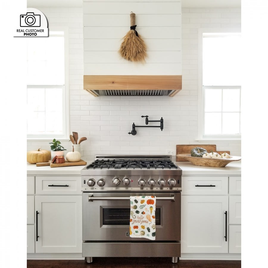 ZLINE 69846 Wall Mount Cabinet Insert Range Hood with 4
