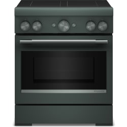 30 Inch Freestanding Induction Range  - 30 Inch Freestanding Induction Range with 4 Elements view